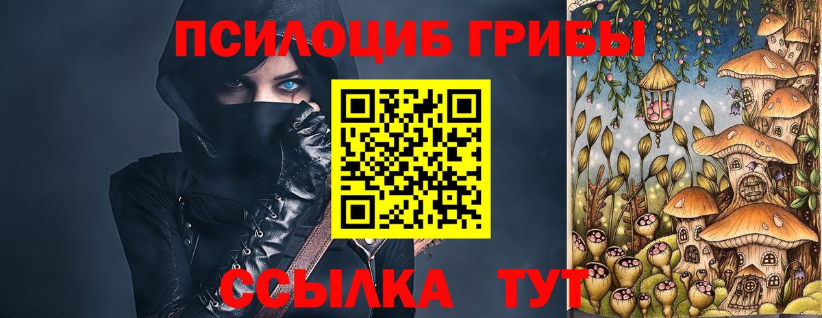Осинники  Псилоцибиновые грибы Psilocybe  Вход с VPN 